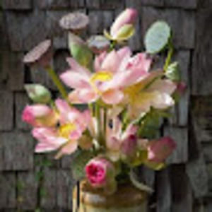 Meet your Posher, Leeta